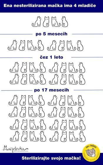 Javni poziv za sterilizacijo in kastracijo lastniških mačk