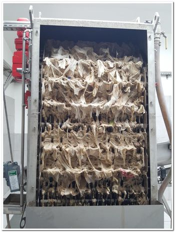 BODI JUNAK, NE ZAMENJAJ ŠKOLJKE ZA SMETNJAK