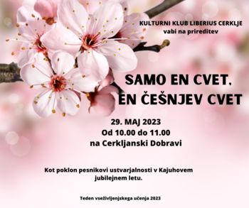 SAMO EN CVET, EN ČEŠNJEV CVET