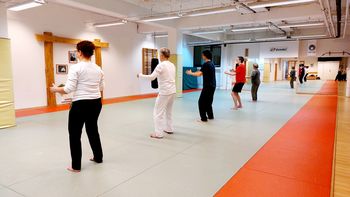 Chen taijiquan (tai chi) redni treningi v Ljubljani