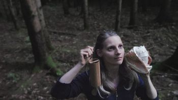 Celostna zvočna uglasitev v Začaranem gozdu