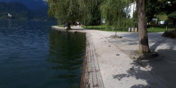Po velikonočnih praznikih začetek obnove pristanišča v Zdraviliškem parku Bled