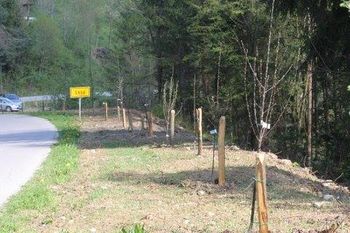 Uspešno očiščenje zarasti v Lešah