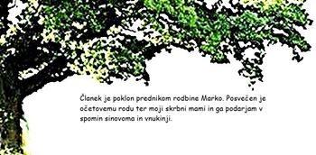 400-LETNO RODBINSKO DREVO DRUŽINE MARKO 1625-2025