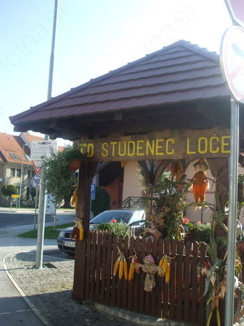 TD Studenec Loče