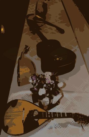 Kvintet "Mandolinastico"