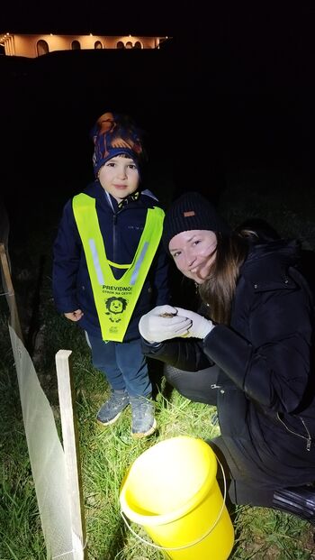 Pomoč dvoživkam čez cesto Pomoč dvoživkam čez cesto