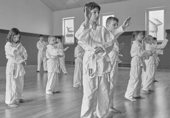 Uvodna ura Emeskai Kido predšole športnega karateja Uvodna ura Emeskai Kido predšole športnega karateja