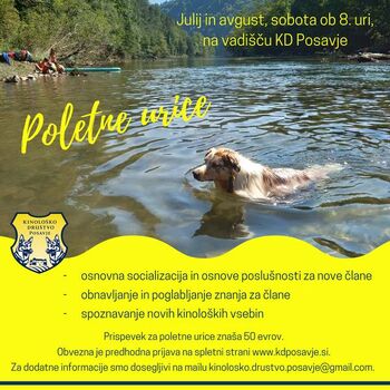 Poletne urice Kinološkega društva Posavje