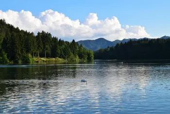 SREČANJE UPOKOJENCEV TREH DRUŠTEV OBČINE MEDVODE