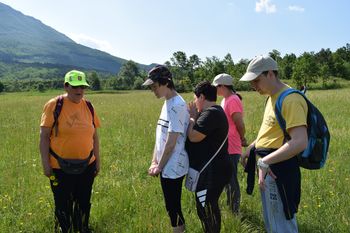 Med "rožc'ami" - spoznavanje rastlinskega bogastva vipavskih Mlak 
