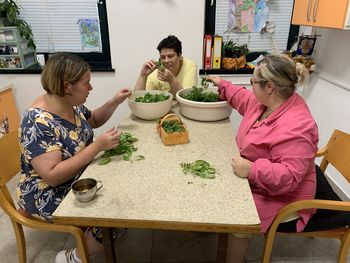 Iz dišeče bazilike smo pripravili okusen pesto alla genovese Iz dišeče bazilike smo pripravili okusen pesto alla genovese