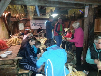 Na Erčevi žagi smo kožuhali