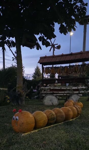 Jesenska okrasitev v Lovrencu – delo srčnih rok članov KD Lovrenc na Dr. polju Jesenska okrasitev v Lovrencu – delo srčnih rok članov KD Lovrenc na Dr. polju