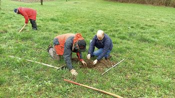 Posadimo medovite rastline – za čebele, naravo in prihodnost!