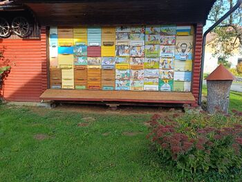  Pet let povezovanja za opraševalce: skupaj sadimo prihodnost – naj vsak Slovenec posadi vsaj eno medovito rastlino.