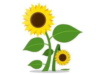 Društvo za osteoporozo Pomurja- Radenci Društvo za osteoporozo Pomurja- Radenci