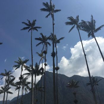 POTOPISKA NA PROSTEM ''KOLUMBIJA S KATARINO IN URŠKO ŽNIDAR''