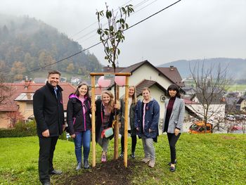 Zasadili rožnato drevo za rožnati oktober