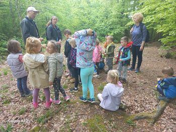 Igrivi gozd Igrivi gozd