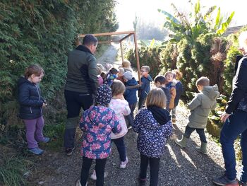 Matematika med drevesi 