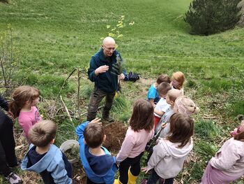 Ko škrati pogozdujejo gozd