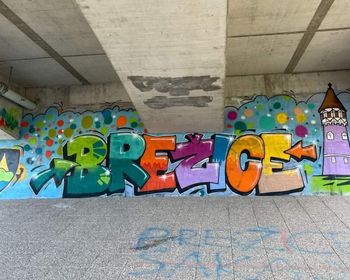 Prid na grafite v hostel