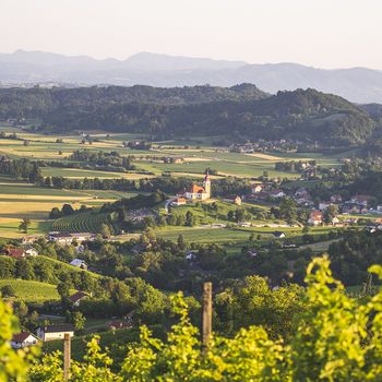 Hribček pesmi in modrosti - Bizeljsko