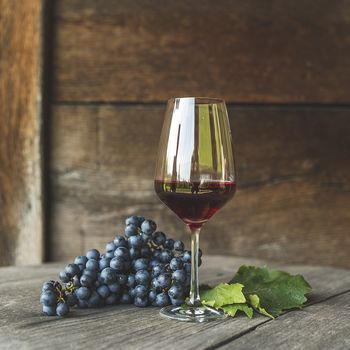 Martinova doživetja '24 Martinovanje na Sromljah