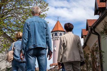 Po poti ljubezni v Brežicah: Brezplačen voden ogled