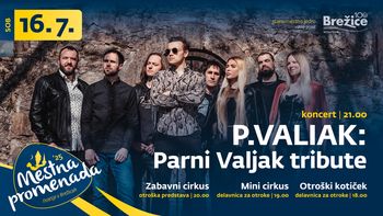 P.VALIAK: VEČER ZA ROCK ENERGIJO!