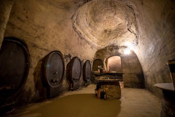 Kolesarska vodenja: Nenavaden peščen svet - repnice