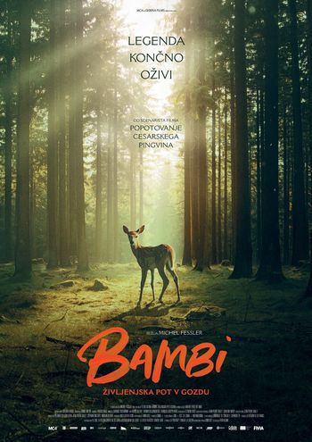 Festival evropskega filma Brežice BAMBI: ŽIVLJENJSKA POT V GOZDU (Bambi, l’histoire d’une vie dans les bois)