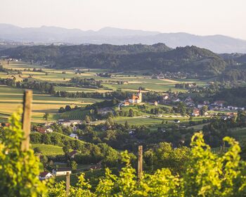 Poletna doživetja Hribček pesmi in modrosti - Bizeljsko