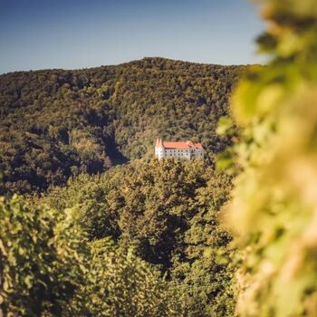 Posavski festival pohodništva 2025: Grajska pot na Bizeljskem