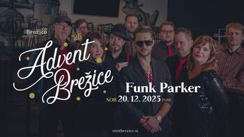 Funk Parker - koncert na prostem