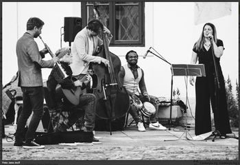 XVI. MEDNARODNI CIKEL KONCERTOV 2025-Fake Orchestra