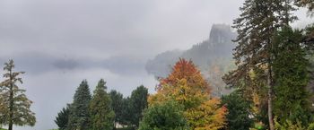 Javni razpis za sofinanciranje programov turističnih društev v Občini Bled za leto 2025