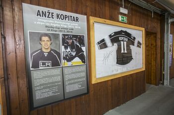 V Ledeni dvorani Bled se bodo pomerili najboljši slovenski hokejisti vseh časov