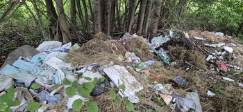 Divje odlagališče na Bledu – izjema, ne pravilo 