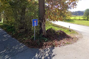 Poziv občankam in občanom k ustreznemu odlaganju zelenega odpada