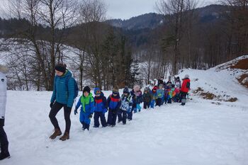 Zimski pohod v snegu