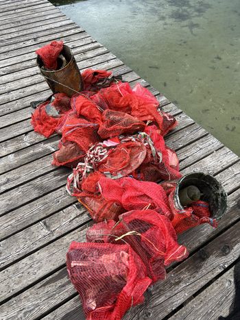 V okoljski akciji čiščenja Blejskega jezera zbrali 150 kilogramov odpadkov