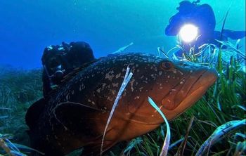 Razpisan je potapljaški tečaj Razpisan je potapljaški tečaj