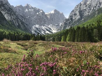 Projekt Promocija destinacije Bled 2025 uspešno zaključen