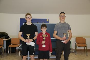 13. turnir v namiznem tenisu