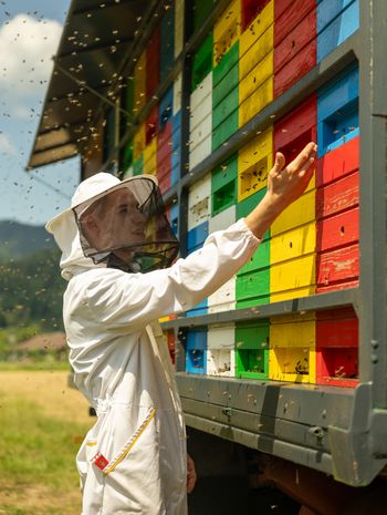 Maj – mesec čebel, medu in ponosa na domače čebelarstvo Maj – mesec čebel, medu in ponosa na domače čebelarstvo