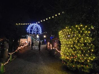 Žive jaslice v ZOO Park Rožman