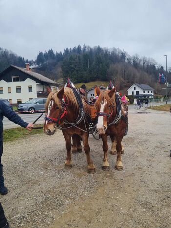 Blagoslov konj na Vrzdencu Blagoslov konj na Vrzdencu