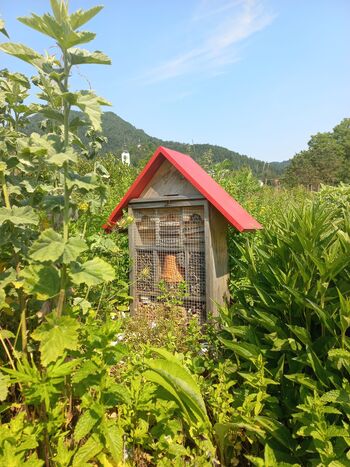 ''Največji uspeh je zame, ko me kdo, ki se je prej obrnil name po nasvet, pokliče in mi pove, da nima več težav z zdravjem.'' 